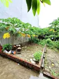 Đổi Chủ Cho Đất Thổ Cư 41,9M² – Cao Xá, Hoài Đức, Hà Nội - Ảnh 1