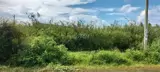 Đất Chính Chủ - Sổ Hồng Riêng - Bán Đất Khu Du Lịch Suối Mơ - Đồng Nai - Ảnh 1