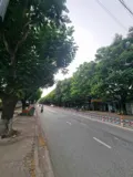 Bán Đất Xây Biệt Thự Tuyệt Đẹp Ngay Huỳnh Văn Nghệ-0909808615 - Ảnh 1
