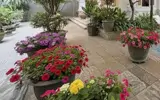 ► Đất 2 Mặt Tiền Ngay Phan Thành Tài, Đi Bộ Ra Bạch Đằng, Cầu Rồng, 200M2, Ngang 11.3M - Ảnh 5