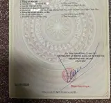 Bán Nhà 4 Tầng Vừa Ở Vừa Kinh Doanh Mặt Tiền Đường Tháp Bà, Nha Trang - ảnh 4