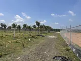 Siêu Phẩm Vuông Vức 50X100m, Giá Quanh Khu 1,3-1,5Triệu/m2. Chủ Kẹt Tiền Bán Gấp 830 Ngàn/1 M2 - Ảnh 4