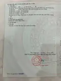 Bán Đất Lô Góc Hẻm Ô Tô 12 Ngọc Hiệp Đường Ô Tô Phường Tây Nha Trang - ảnh 4