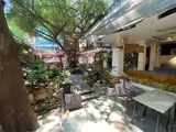 Chính Chủ Cần Cho Thuê Biệt Thự Sân Vườn Tại 149/12 , Đường Bành Văn Trân, Phường 7, Tân Bình - Ảnh 3