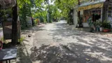Đất Đẹp – Giá Tốt  – Chính Chủ Cần Bán Tại 70/5, Đường Thới Tam Thôn 16, Xã Thới Tam Thôn - Ảnh 4