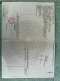 Bông Trang 20M Mt Nhựa 100Tc Giá 130Tr/ M Tl - Ảnh 3