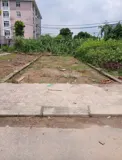 Cần Bán Nhanh 40.2M² – Đức Thượng, Hoài Đức, Giá Hơn 3 Tỷ - Ảnh 2