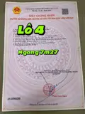 Bán Đất Đường Ô Tô Gần Biển, Hẻm Nguyễn Chích, Bắc Nha Trang - ảnh 3