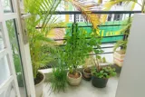 Nhà Bán Hxh Gần Lý Thường Kiệt – Giáp Quận 10 – 4 Tầng Dòng Tiền Ổn Định - Giá 6.49 Tỷ - Ảnh 4