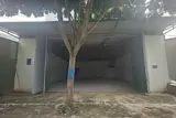 Cho Thuê Mặt Bằng/kho 200M² – Mặt Tiền 11M Đường Thủ Khoa Huân – Giá Chỉ 11 Triệu/tháng - Ảnh 3