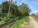 Chủ Chuyển Việc – Bán Gấp Trang Trại Dòng Tiền Siêu Tốt Tại Đông Phú , Đông Sơn, Thanh Hóa - Ảnh 2