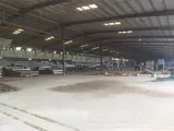 X133 Bán Nhà Xưởng Dễ Dàng Sx Nhiều Ngành Nghề, Vị Trí Thuận Lợi Xa Dân Cư - Ảnh 4