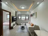 Cần Bán Căn Góc Thương Mại Chung Cư Ssh07 View Công Viên!!! Dt: 52M2 Giá Bán 2,92Tỷ. Sổ Hồng, Bao - ảnh 3