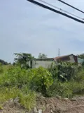 Siêu Phẩm Quỹ Đất Lớn 8.000M² – 6.000M² Thổ Cư - Mặt Tiền Tl15, Tân Thạnh Đông, Củ Chi - Ảnh 1