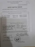 Chính Chủ Bán Nhà Hẻm Trường Chinh – Tân Hưng Thuận, Quận 12 - Ảnh 3