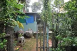 Bán Đất Tặng Nhà Chính Chủ - Mặt Tiền Đường Ql57, Xã Tân Hội, Huyện Mỏ Cày Nam, Bến Tre - Ảnh 4