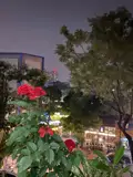 Không Thể Bỏ Lỡ Chung Cư Trung Hoà Căn Góc 78M2, 2 Ngủ, Sđcc 7.2 Tỷ - Ảnh 1