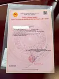 Bán Lô Đất Sát Đường Lê Hồng Phong Hẻm Ba Gác Nhưng Cách Đường Chỉ 30M - ảnh 2