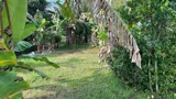 Đất Chính Chủ - Giá Tốt Vị Trí Hòa Lạc C, Lương Hòa A, Châu Thành, Trà Vinh - Ảnh 5