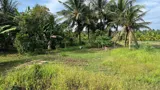 Đất Chính Chủ - Giá Tốt Vị Trí Hòa Lạc C, Lương Hòa A, Châu Thành, Trà Vinh - Ảnh 4