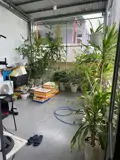 Cần Bán Nhà 3 Tầng, Cách Nguyễn Nghiêm 50M - Thanh Khê - ảnh 3