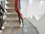 Bán Gấp Nhà Thống Nhất, P16 Gò Vấp, 2 Tầng 3,8 X 11M, Hẻm 3M 4 Tỷ Hơn Tl - Ảnh 5