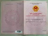 Chính Chủ Bán Gấp Đất Rẻ Vị Trí Đắc Địa 2Mt Hẻm Ôtô Xã Hưng Lộc. Dt: 241,9M2. Giá Chỉ 3Tỷ2 Tl - Ảnh 5