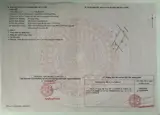 Đất Đẹp- Giá Tốt Cần Bán Nhanh Nền Thổ Cư Mặt Tiền Đường Nhựa Tại Huyện Thanh Bình, Tỉnh Đồng Tháp - Ảnh 2