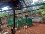 Giảm Mạnh Bán Nhanh Nhà Riêng Sát Bên Chùa Phật Quốc Vạn Thành - Ảnh 3