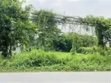 Cần Cho Thuê Lô Đất Nông Nghiệp Để Trồng Trọt, Chăn Nuôi Tại Xã Phạm Văn Hai, Bình Chánh, Hcm - Ảnh 3