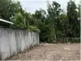 Cần Cho Thuê Lô Đất Nông Nghiệp Để Trồng Trọt, Chăn Nuôi Tại Xã Phạm Văn Hai, Bình Chánh, Hcm - Ảnh 4