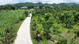 Cần Bán Đất Vườn Giá Rẻ Tại Khánh Hoà - Ảnh 4