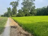 Tôi Chính Chủ Bán Đất Lô Đất Xã Cần Đước, Tỉnh Tây Ninh - Ảnh 3