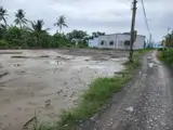 Bán 2000M2 Đất Lúa Khu Vực Chuyển Thổ , Thích Hợp Phân Lô - Ảnh 1