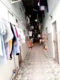  Bán Dãy Trọ Có Dòng Tièn Hàng Tháng Với 260M2 Chỉ 11.5 Tỷ - Trung Tâm Dĩ An - ảnh 2