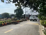 Giá Tốt Quá Khách Ơi, Đất Nền Liền Kề Mt Đông Thạnh 7-3, Hóc Môn - Ảnh 1