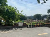 Giá Tốt Quá Khách Ơi, Đất Nền Liền Kề Mt Đông Thạnh 7-3, Hóc Môn - Ảnh 4
