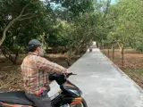 Chỉ 1.68 Tỷ (Bớt Lộc) - Bán Vườn Chôm Chôm Xã Bàu Hàm 2 - Thống Nhất - Đồng Nai - Ảnh 2