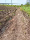 Hot ! Hot ! Hot ! Siêu Phẩm Đất Đẹp - Phù Hợp Cho Mọi Gia Đình - Ảnh 3