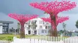 Đất Nền Kđt The Link City – Trung Tâm Dầu Giây, Tiềm Năng Tăng Giá Cao - Ảnh 2
