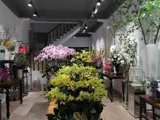 Cho Thuê Tầng 1 Làm Cửa Hàng Văn Phòng Kinh Doanh Giá 35 50 Triệu - Ảnh 4