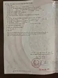 Hẻm 198/32E.nguyễn Duy Dương.q10 - Ảnh 3