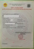 64.3M, Bán Gấp Nhà 5 Tầng, Hxh, Phan Văn Trị, P5 Gò Vấp, 7 Tỷ Nhinh - Ảnh 2
