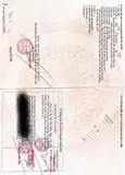 Đất Đẹp – Chính Chủ Cần Bán Gấp Lô Đất Tại Phường Phước Hòa, Tx Phú Mỹ, Bà Rịa - Vũng Tàu - ảnh 2