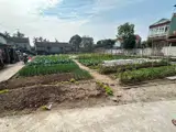 Bán Đất Đầu Tư Cực Đẹp Lô Góc Làng Mai Xá Thắng Lợi, Thường Tín - Ảnh 2
