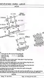 Nhà Hẻm 282 Nguyễn Tri Phương - P. Vườn Lài, Giá : 4,8 Tỉ (Tl) - Ảnh 5