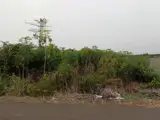 Cần Bán Lô Đất Chính Chủ. Thuộc Xã Đa Bạc. Đường Nhựa Sát Dân. Dt. 4Sao2 Giá 3T2 Hết Sổ - Ảnh 1
