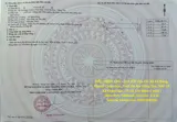 Đất Chính Chủ - Giá Tốt Địa Chỉ Xã Xà Bang, Huyện Châu Đức, Tỉnh Bà Rịa Vũng Tàu - Ảnh 1
