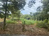 Đất Chính Chủ - Giá Tốt Địa Chỉ Xã Xà Bang, Huyện Châu Đức, Tỉnh Bà Rịa Vũng Tàu - Ảnh 4