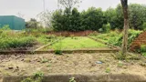Bán Đất Phú Cát, Quốc Oai 100 M2 Full Thổ Cư, Đừng Ô Tô Tải Tránh, Giá 25 Tr/m2 - Ảnh 1